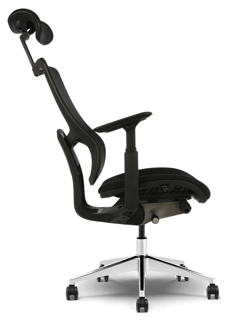 Ergonuma CARISMO™ - Styl, który wspiera.