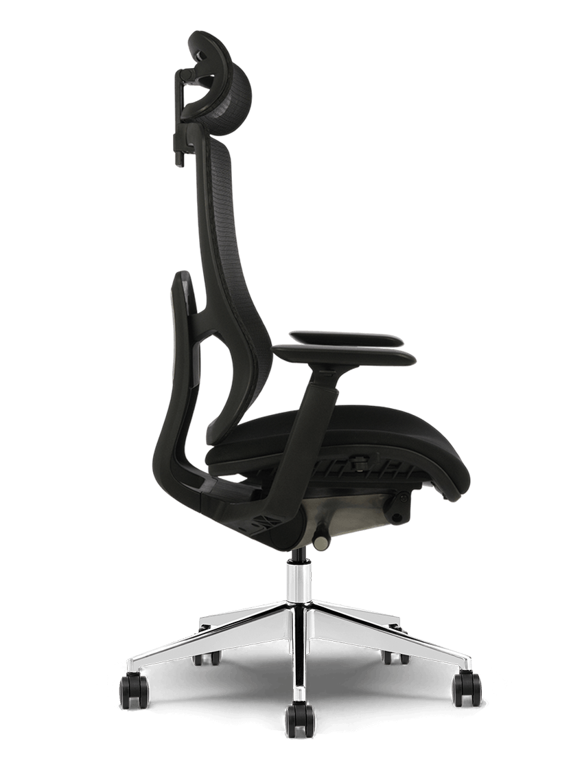 Ergonuma CARISMO™ - Styl, który wspiera.