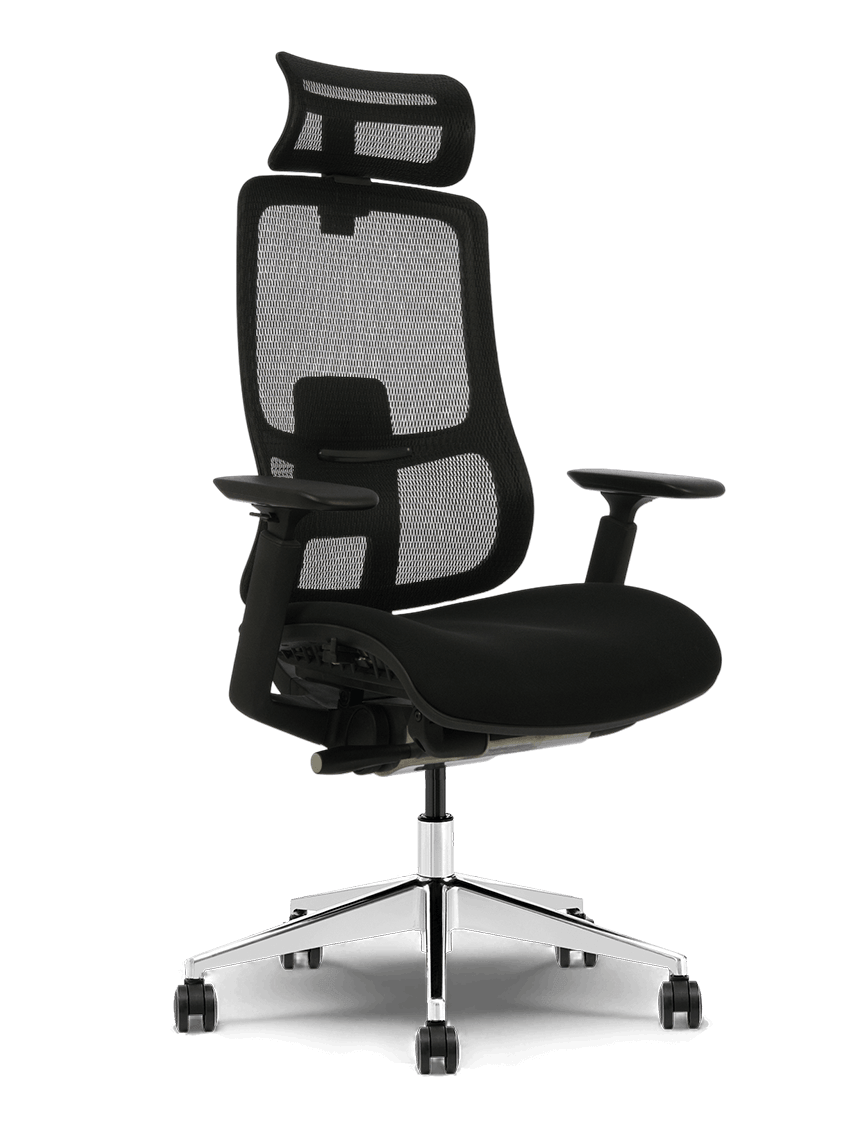 Ergonuma CARISMO™ - Styl, który wspiera.
