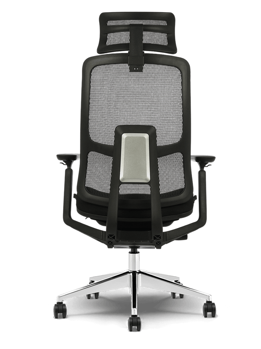 Ergonuma CARISMO™ - Styl, który wspiera.