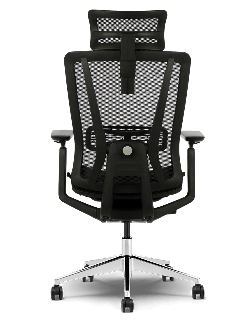 Ergo VIRTONE™ - Perfekcja w detalu.